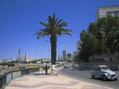 VOYAGE a ORAN du 30-06 au 6-06 2008 (252)